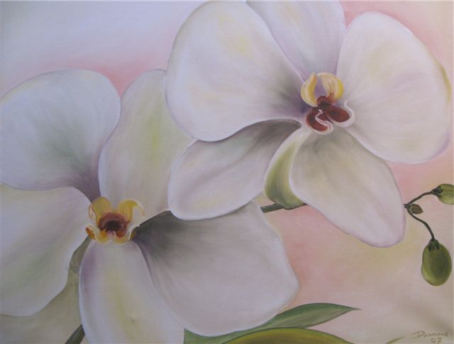 Orchiden